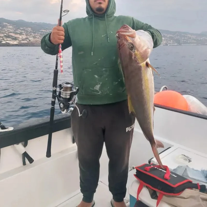 ZYZHE Lápiz: Señuelo Duro para Alta Mar y Costa - imagen 2