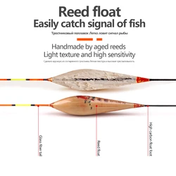 Flotador vertical para pesca de carpín – Incluye anzuelos