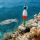 FREE FISHER jig de calamar luminoso con tentáculos para mar - imagen 5