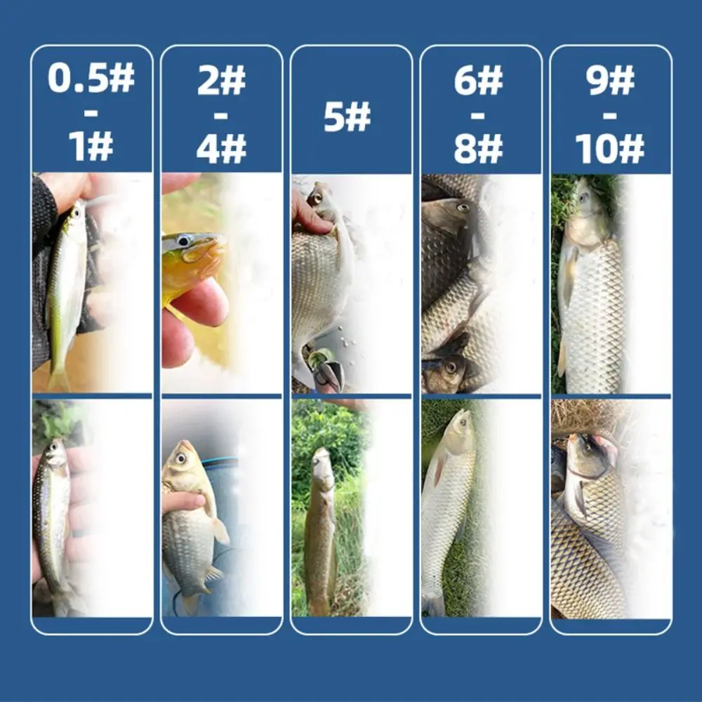 Comparativa de tamaños