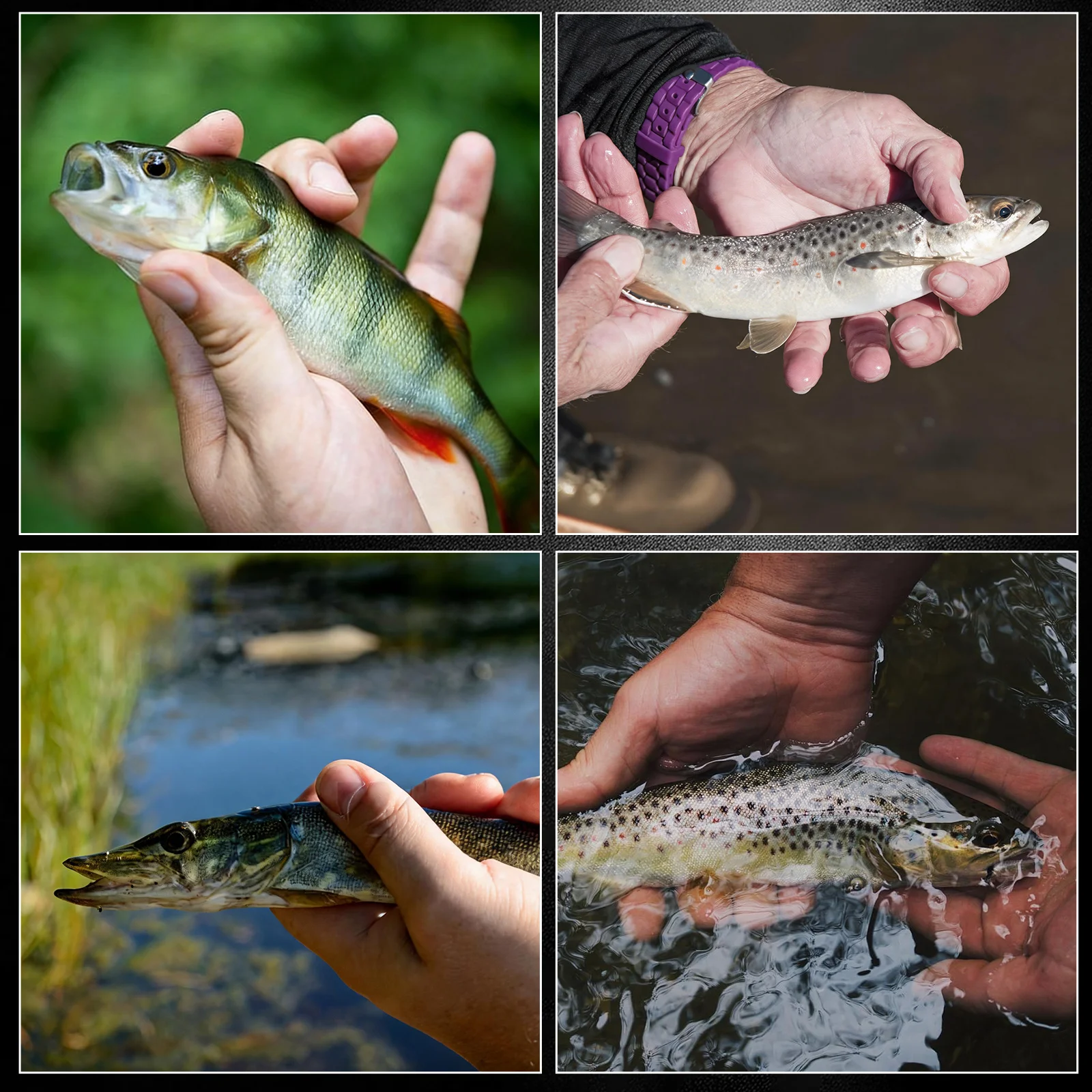Micro anzuelos FishTrip de acero alto carbono, ultra afilados - imagen 5