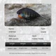 LETOYO Crankbait wobblers flotantes para carpa, lubina y trucha - imagen 2