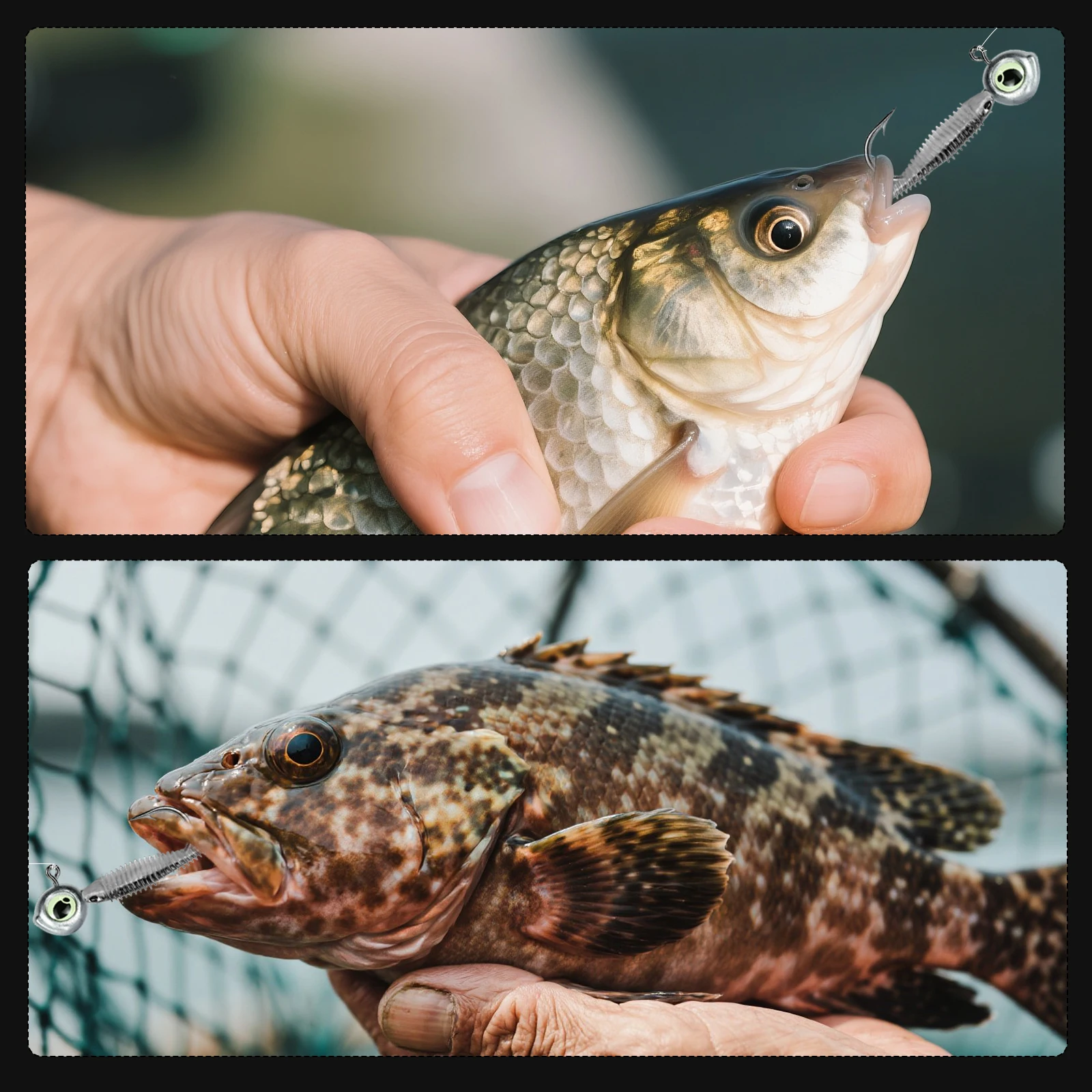 Jig heads para agua salada