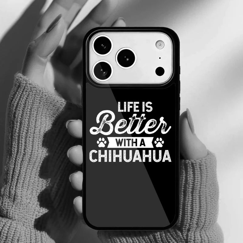 Funda puesta en un iPhone