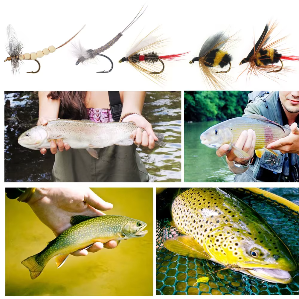 Bimoo Royal Wulff CDC – Moscas secas para trucha - imagen 4