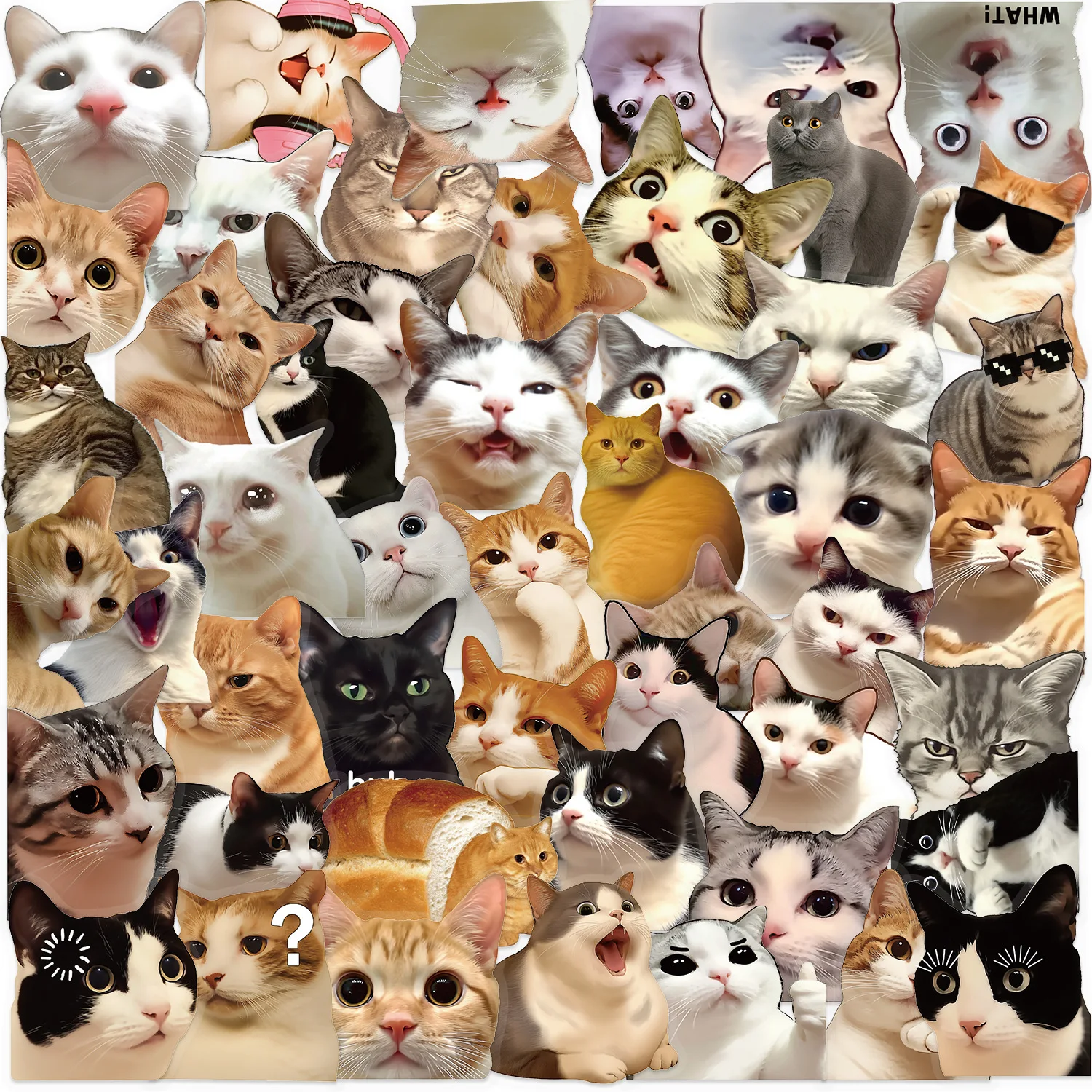 Set de 50 pegatinas transparentes de memes de gatos