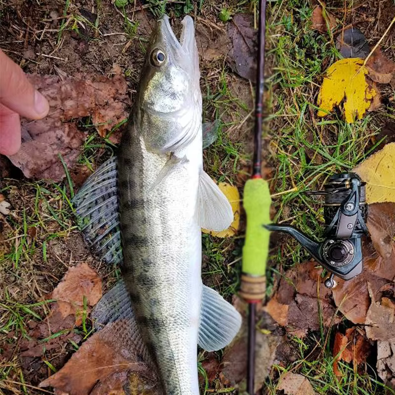 TSURINOYA Jaguar Carrete Spinning Agua Salada Bobina Cónica Freno 6kg - imagen 4