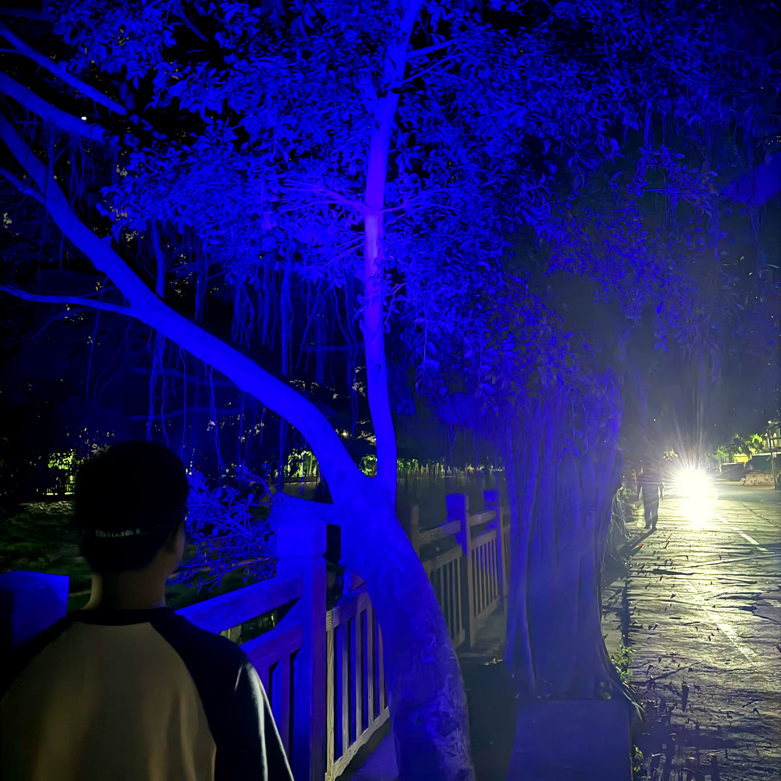 Faro LED pesca nocturna mini - linterna frontal USB de alta potencia - imagen 4