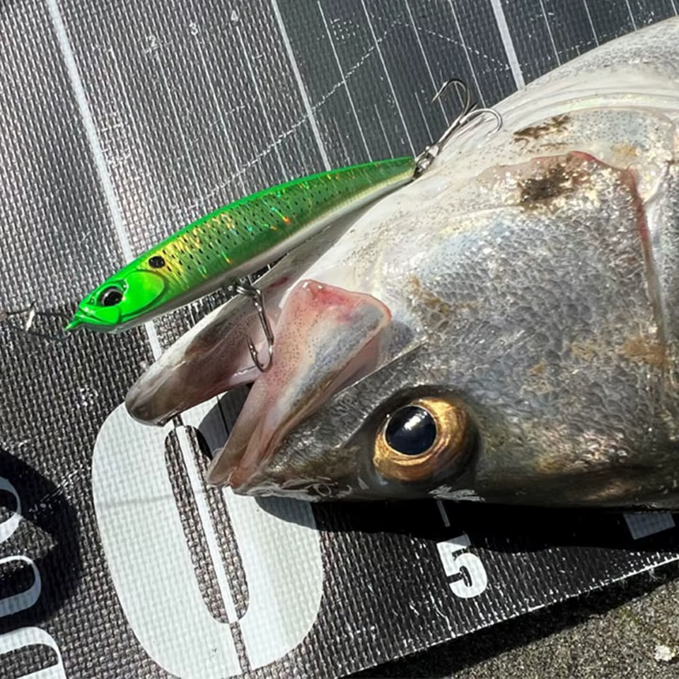 Walk Fish Wobbler Lápiz Hundido – Señuelo de lubina en agua salada - imagen 5