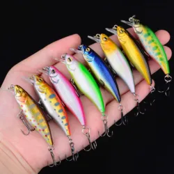 Crankbait Minnow 3D – Señuelo de profundidad para black bass