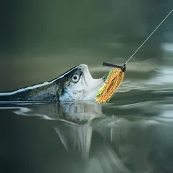Chatterbait para lubina con falda y vástago sin enredos