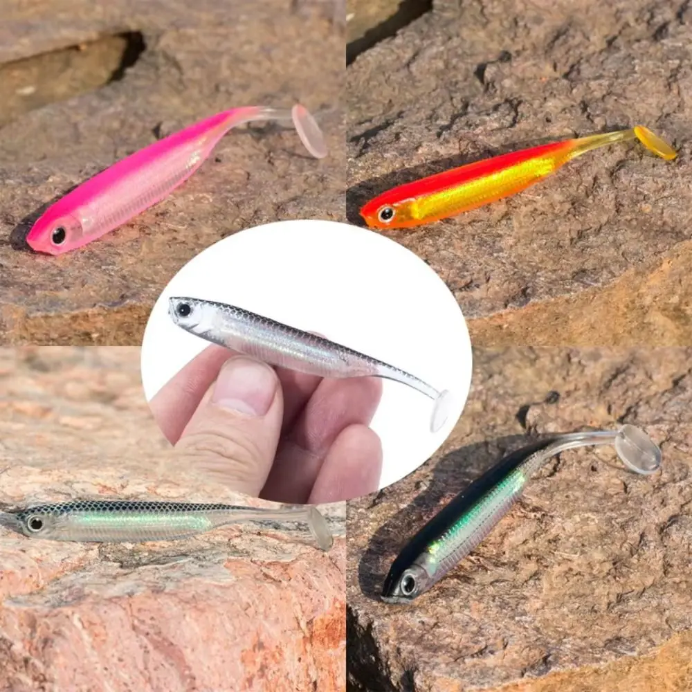 Variedad de colores disponibles en el pack