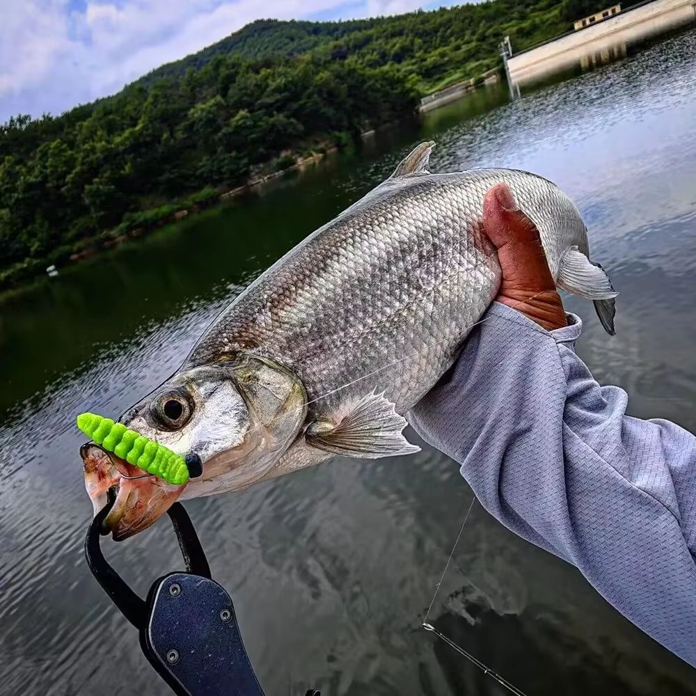 Spinpoler Gusanos TPR Flotantes – Cebo artificial para pesca a flote - imagen 2