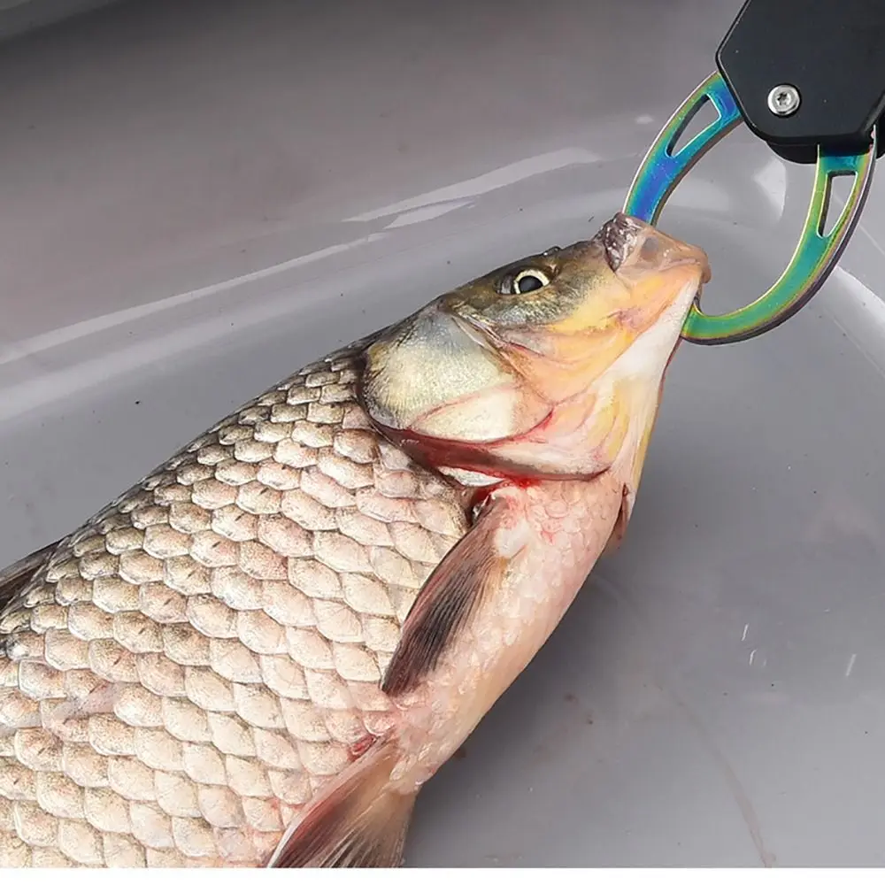 Alicates de pesca listos para accesorios y mantenimiento