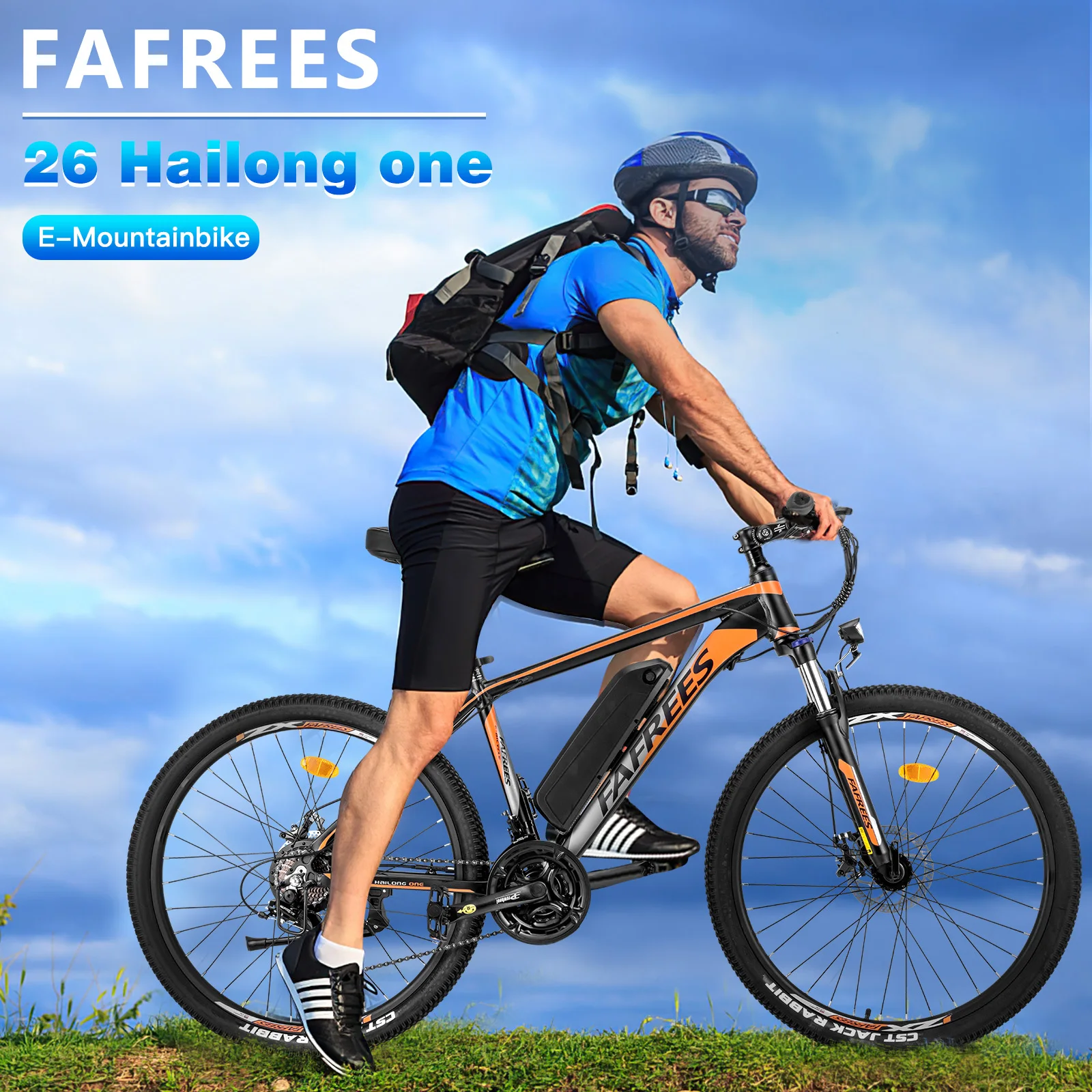 Fafrees Hailong One Bicicleta Eléctrica Montaña 250W Litio LCD
