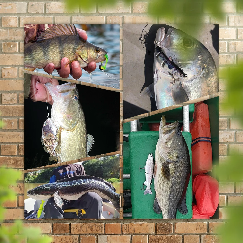 Variedad de acabados y colores