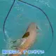 SANLIKE Red de pesca Tami de una pieza para pesca en barco - imagen 4