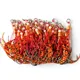Faldas de silicona con campana para jig head y anzuelos de asistencia