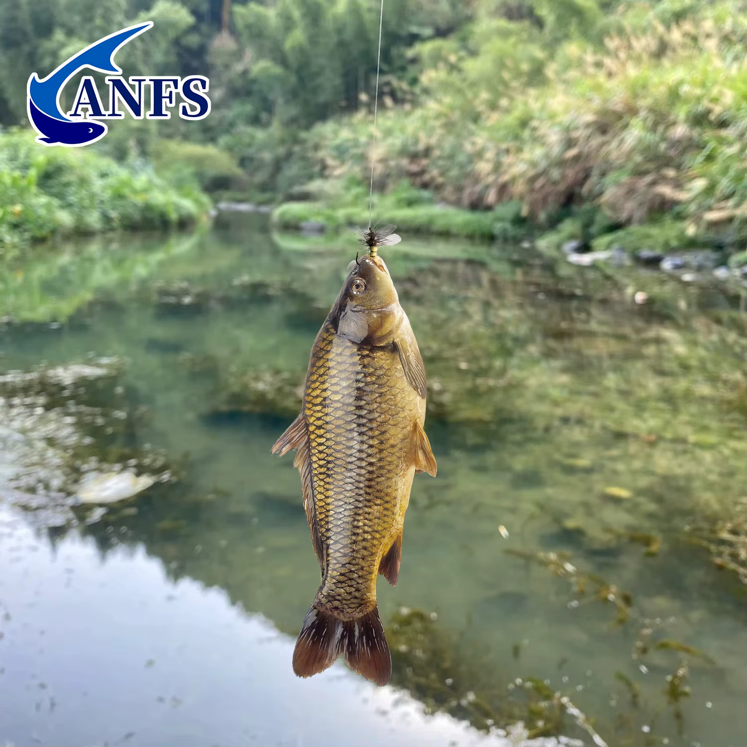 Moscas artificiales ANFS – Set 13 diseños secas y húmedas atadas a mano para pesca a mosca - imagen 4