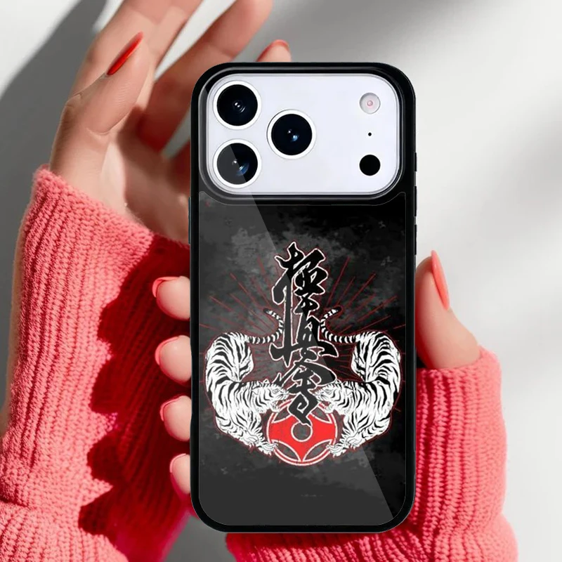 Compatibilidad con modelos iPhone