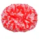 Pompones de animadora elegantes con asa de doble orificio para club - imagen 5