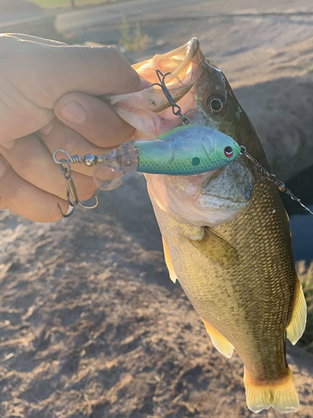 Uso en pesca de superficie con depredadores
