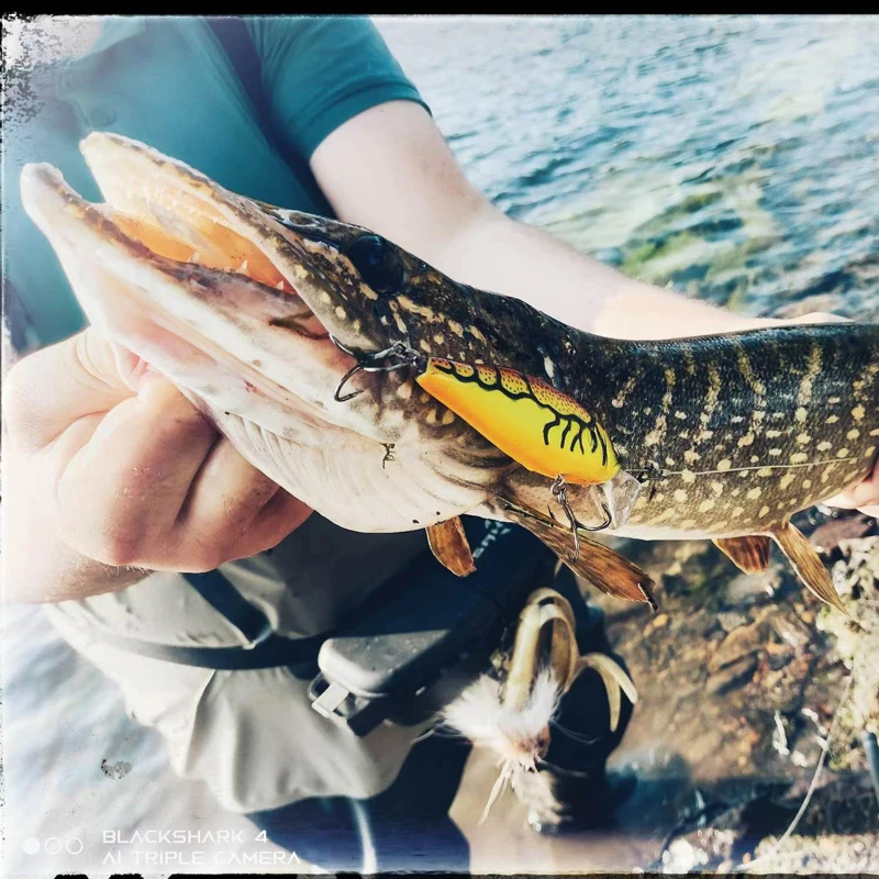 LEYDUN Hot JACK Minnow – Señuelo wobbler flotante para Lucio - imagen 4