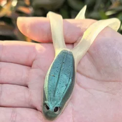 Señuelo rana biónico de cuerpo suave y acción de nado vívida