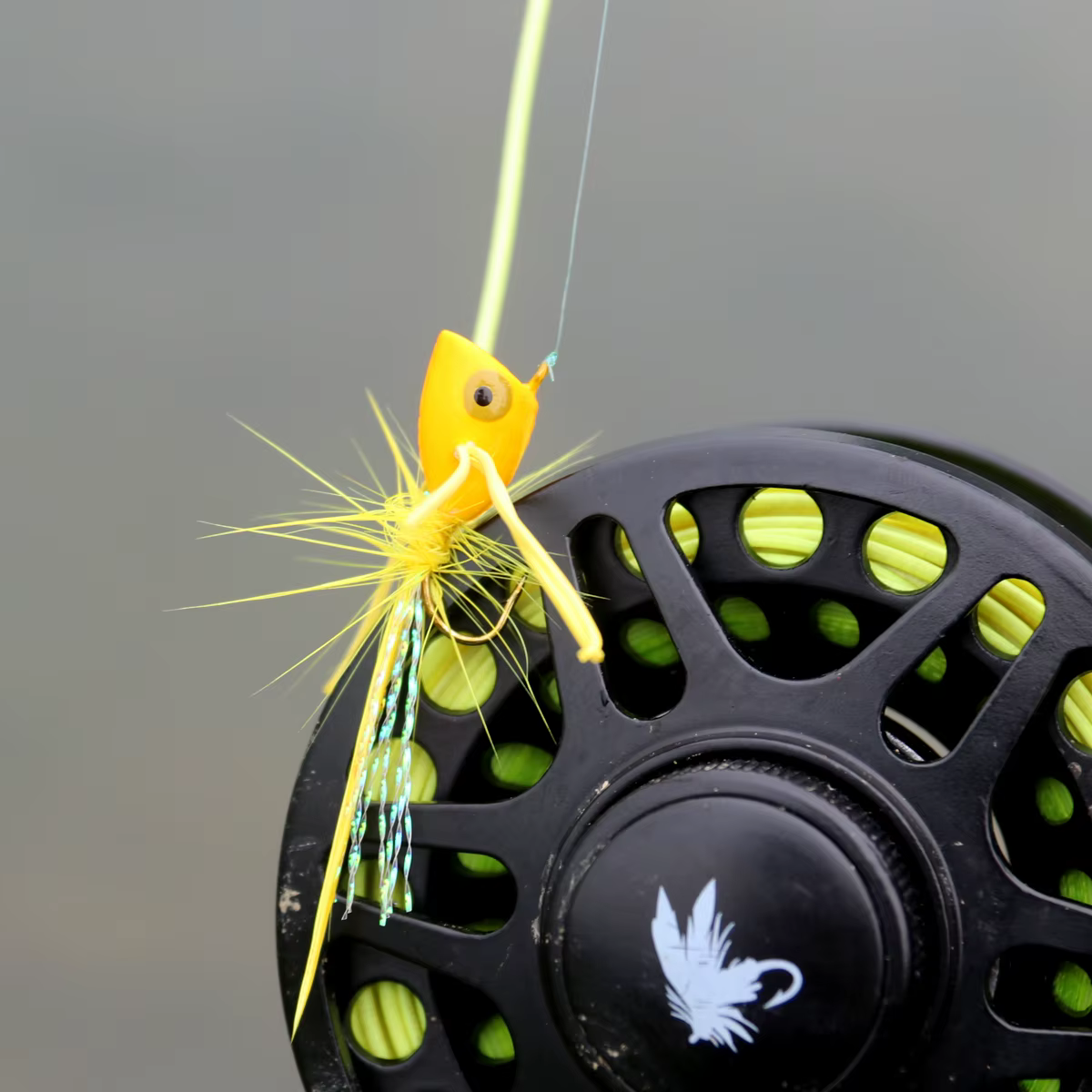 Set completo de moscas para pesca