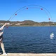 Caña ultraligera de carbono para carpa crucian en arroyo - imagen 2