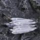 Dr.Holife Cebos Minnow sin pintar de hundimiento silencioso duro - imagen 4