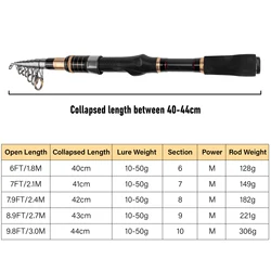 Caña telescópica Power M – Fibra carbono y guías cerámica surfcasting