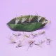 Mosca húmeda biónica para pesca: trucha, salmón y lubina - imagen 3