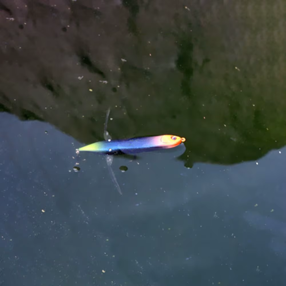 Wobblers Fishbait Buzzbait libélula señuelo tipo lápiz flotante - imagen 2