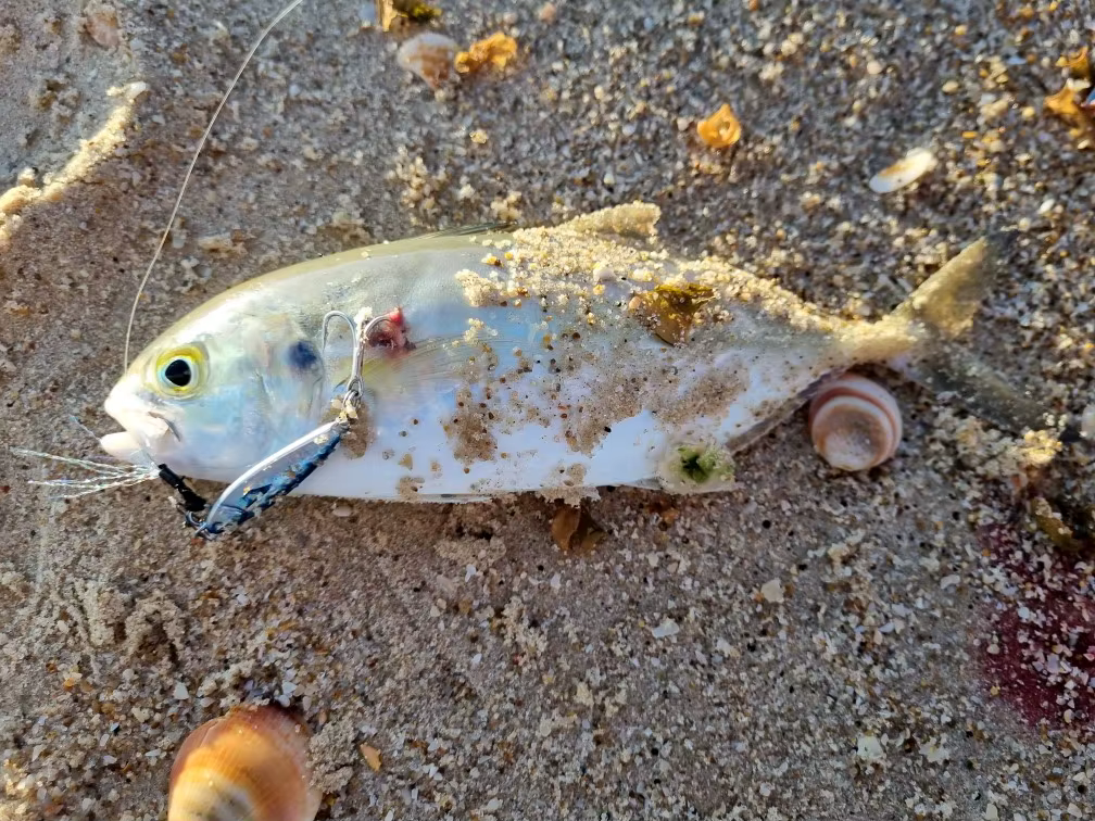 Señuelo jig metal WEIHAI FSTK vista frontal