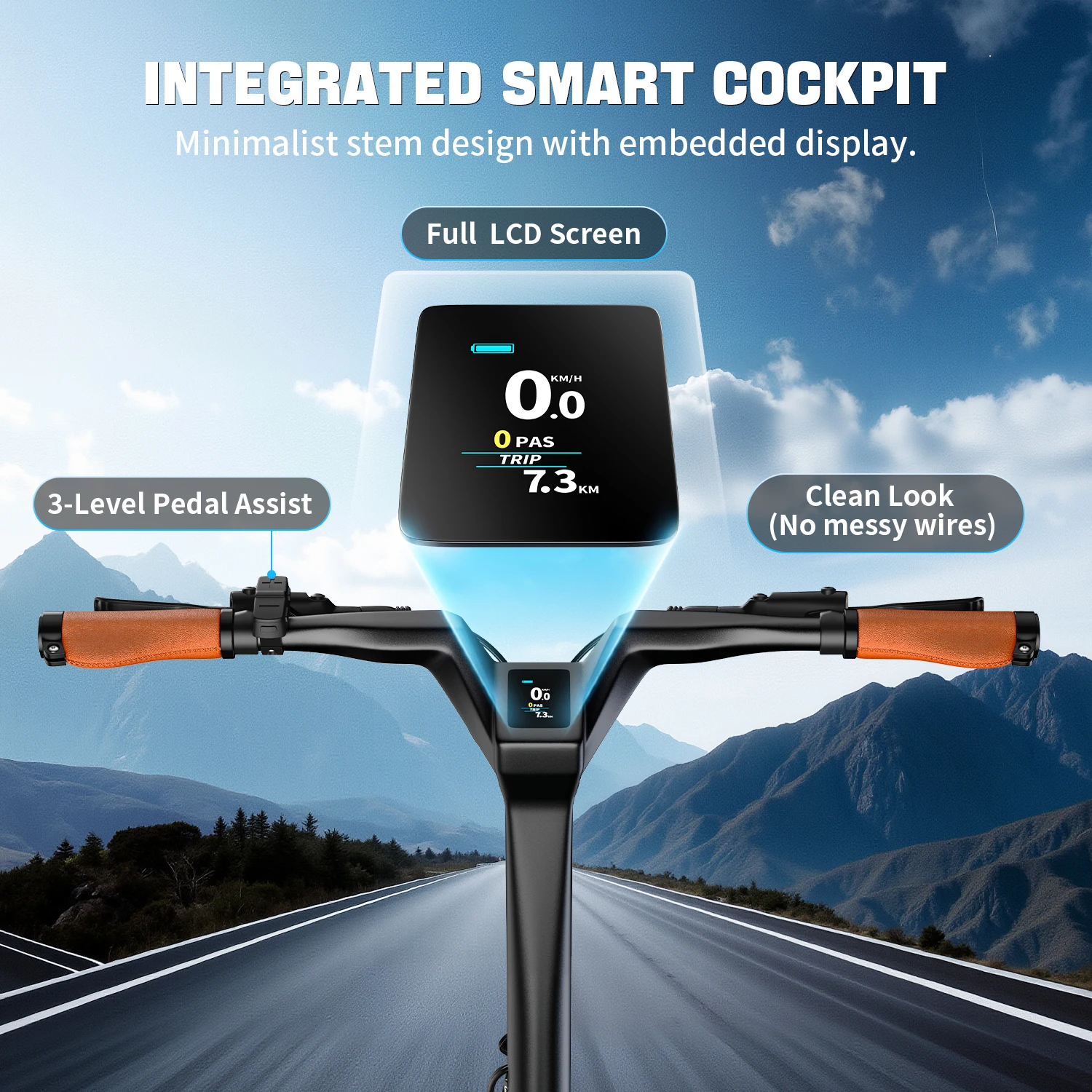 Pantalla LCD y mandos de la bicicleta eléctrica