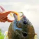 Anzuelos Jig Head de plomo MUKUN para vinilo – Pesca a fondo - imagen 3