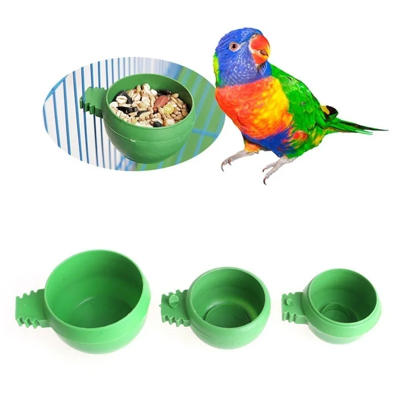 Comedero de plástico verde para loro visto de cerca