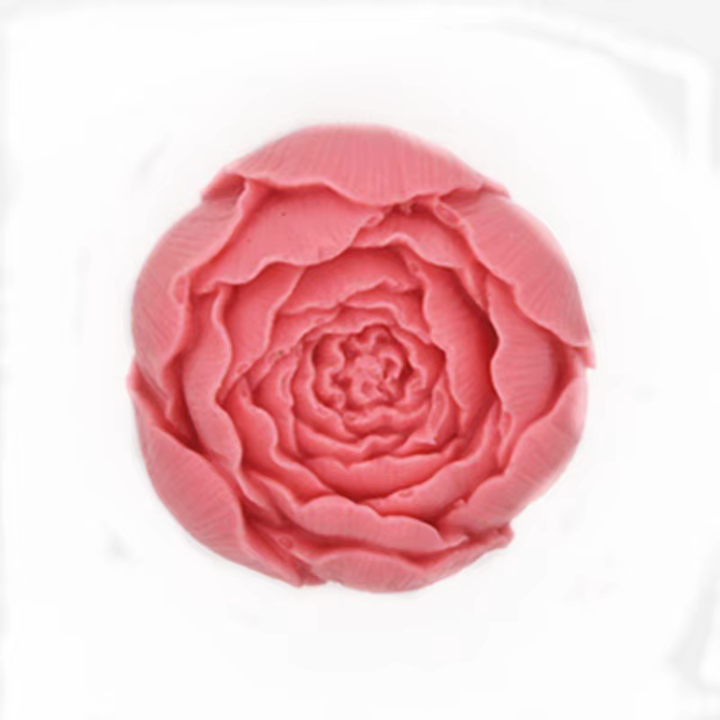 Molde Silicona 3D para Vinilos de Pesca – Haz tus Señuelos Caseros - imagen 4