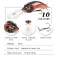 Wobbler Minnow flotante para carpa y lubina rayada - imagen 4
