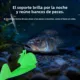 Cámara subacuática Erchang infrarroja portátil resistente al agua - imagen 2