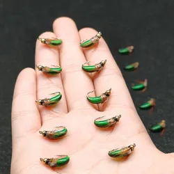 Moscas de pesca cabeza de cuentas ninfa verde claro para lubina