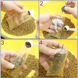 Set PVA Plunger para pesca de carpas con dispenser de cebo