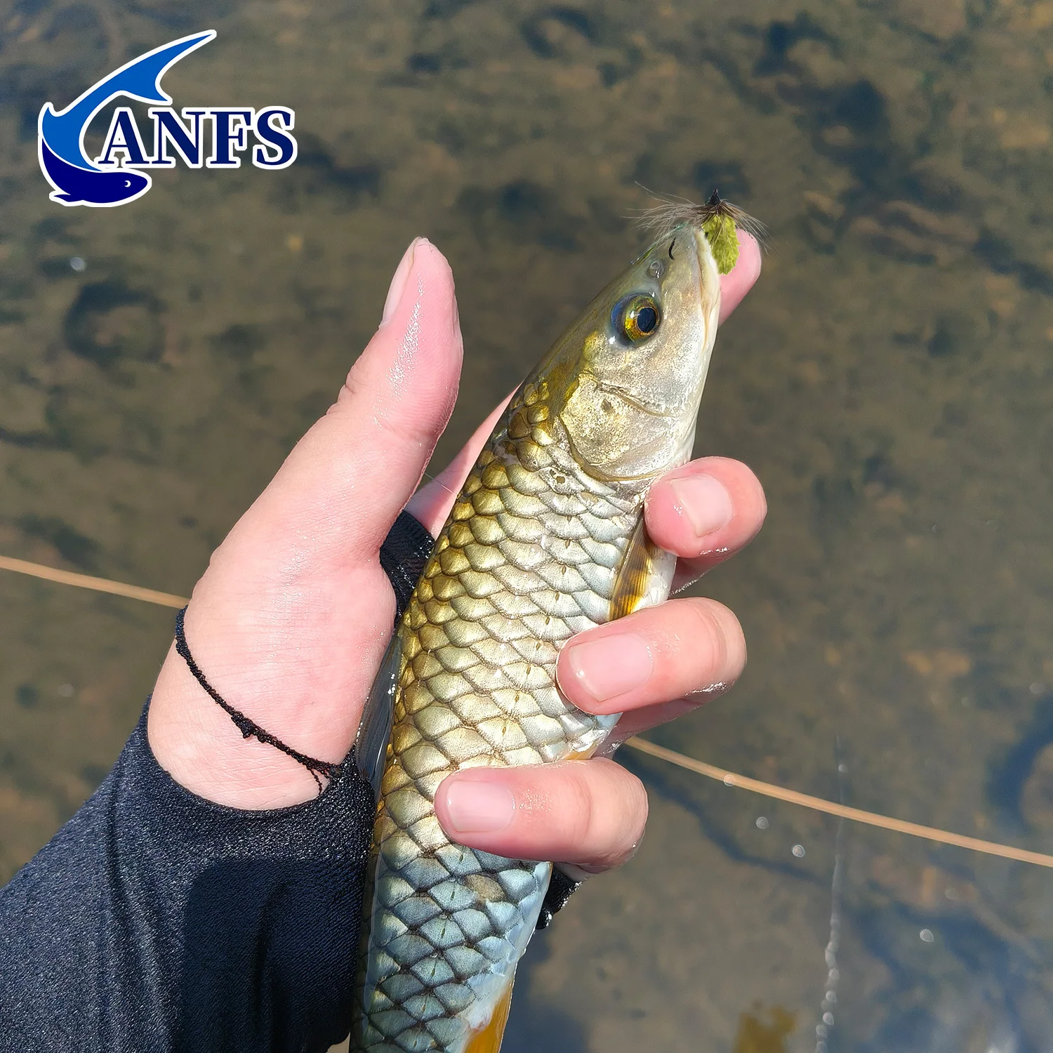 ANFS Moscas artificiales atadas a mano con caja para pesca - imagen 5