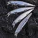 Dr.Holife Señuelos Minnow flotantes sin pintar con lámina interior - imagen 4