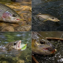Anzuelos para mosca sin púas de acero alto carbono FishTrip húmedas