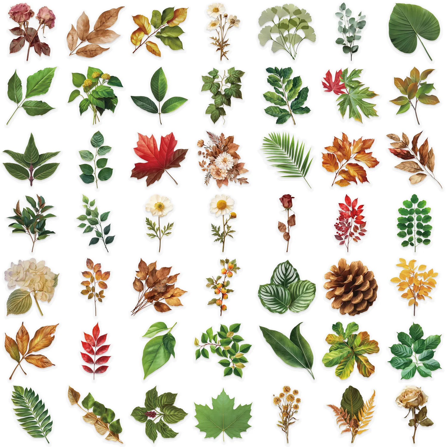 Pegatinas transparentes plantas verdes impermeables para mascotas - imagen 5