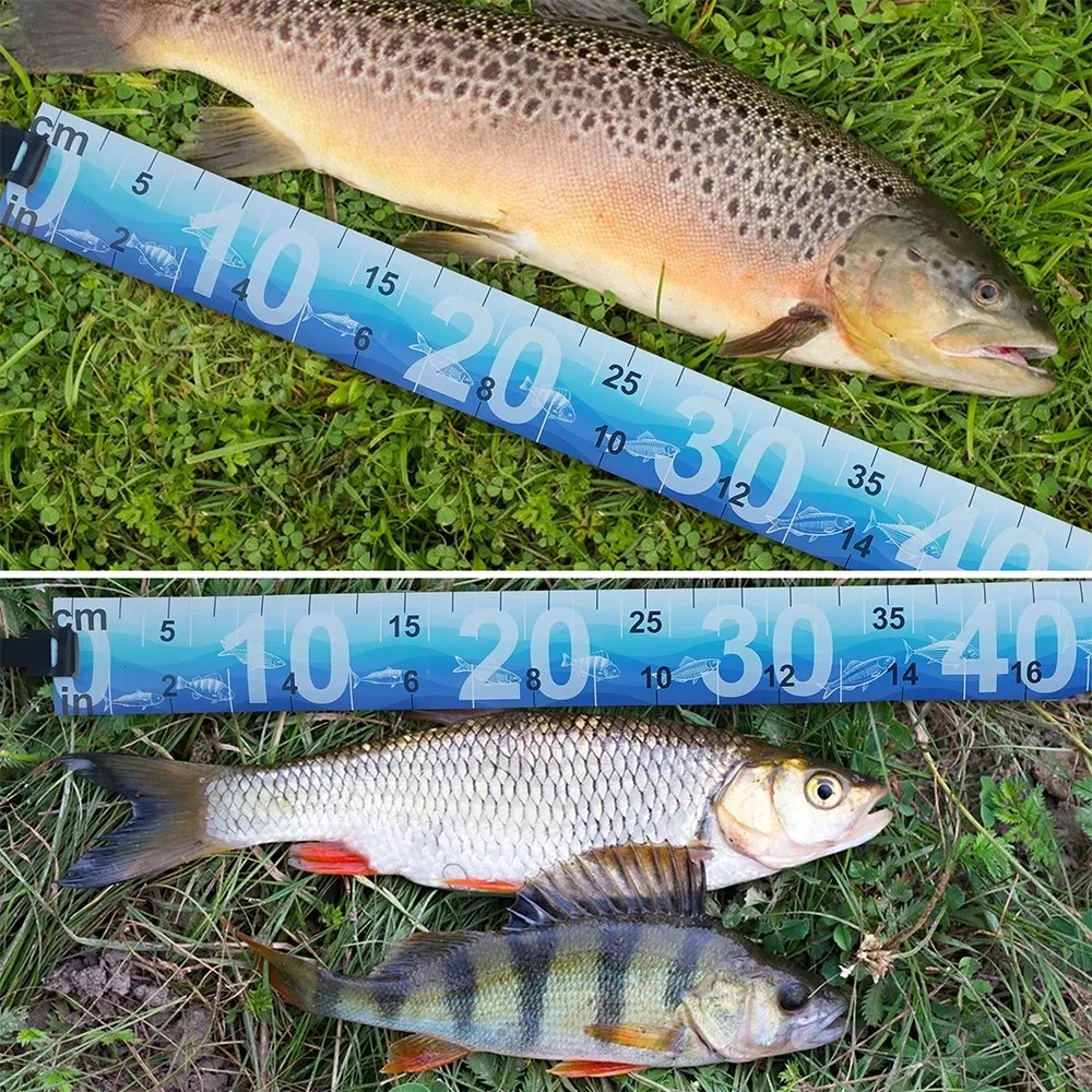 Regla medidora peces impermeable – Plegable 90 cm pesca - imagen 4