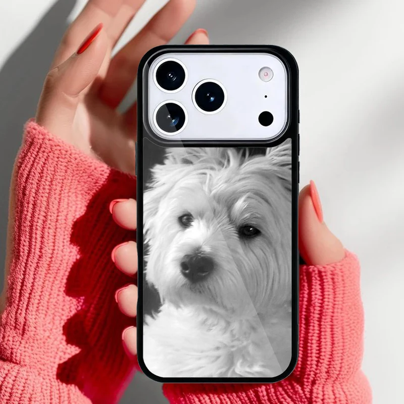 Funda Westie sobre fondo blanco mostrando detalle del perro