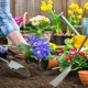 Palas para trasplantar y excavar suelos: herramientas de deshierbe